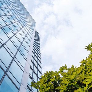 祝贺上海英弗尔科技有限公司网站全新改版！